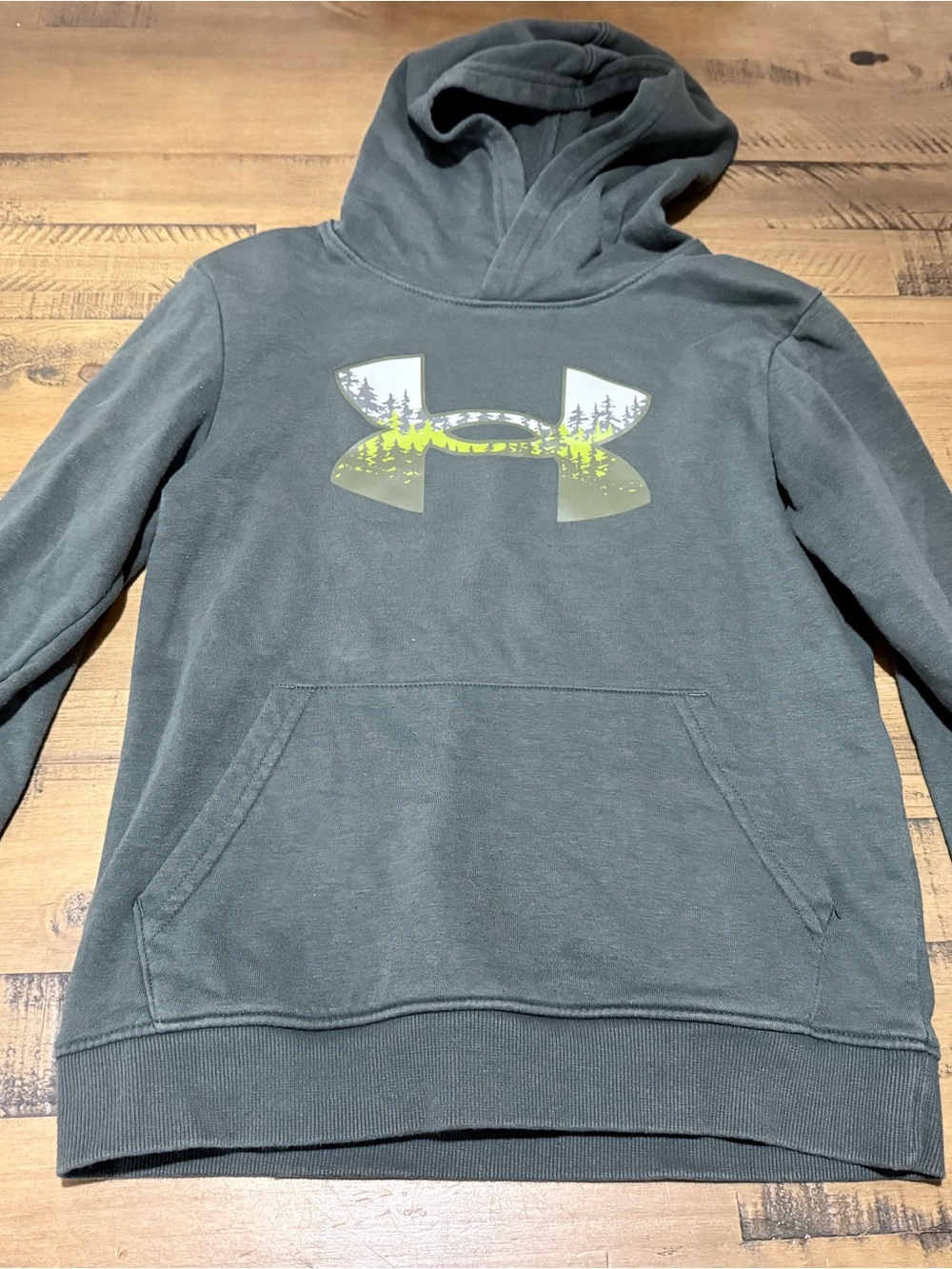 Under Armour Boys' Forest Green Logo Pullover Hoodie